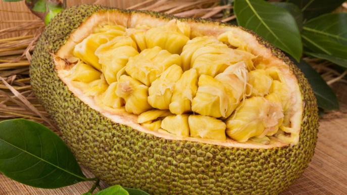 Jackfruit: proprietà nutritive e ricette