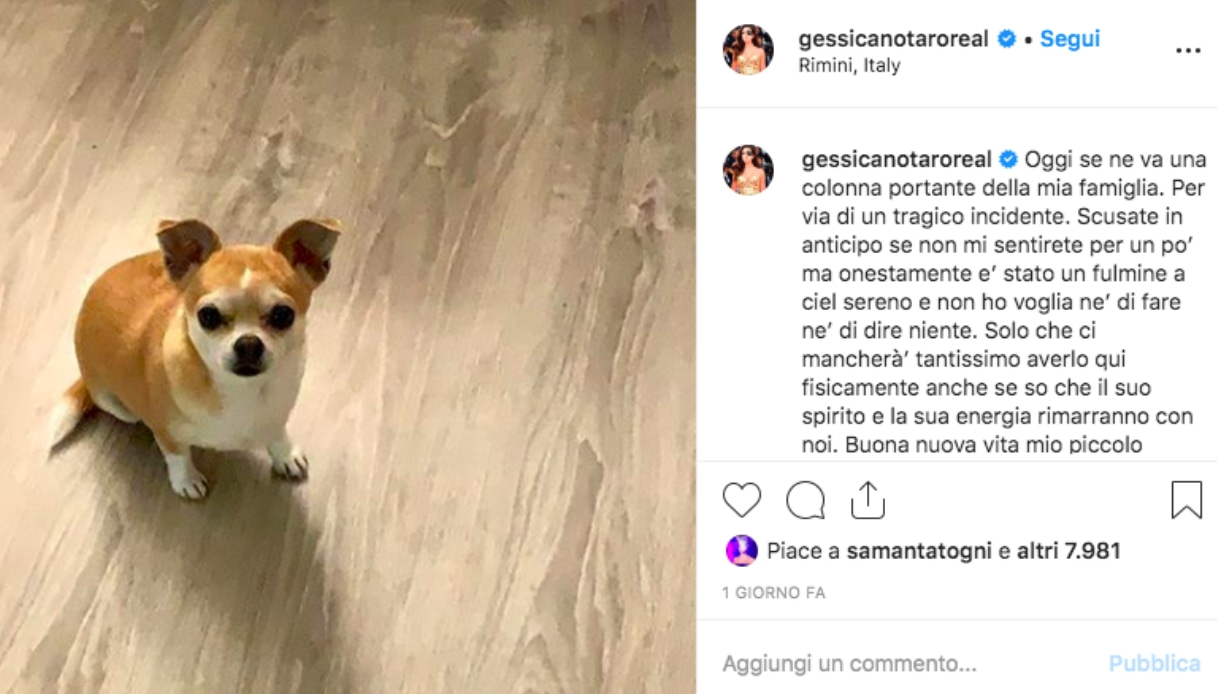 Gessica Notaro post Instagram