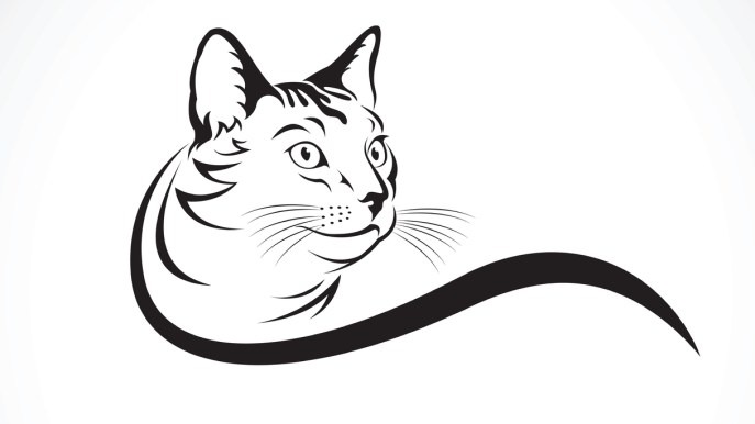 Idee e significati dei tatuaggi con i gatti