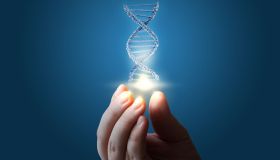 Dieta del DNA: una dieta su misura per te