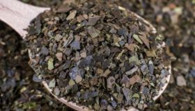 Guayusa, riduce lo stress e il senso di fame