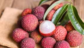 litchi frutto