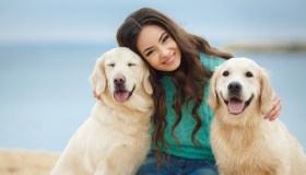 Veterinario gratis per chi adotta nei canili: ecco dove