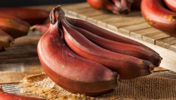 Banane rosse per migliorare il sistema immunitario e controllare la pressione