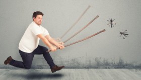 Zanzare: come si riproducono e rimedi definitivi