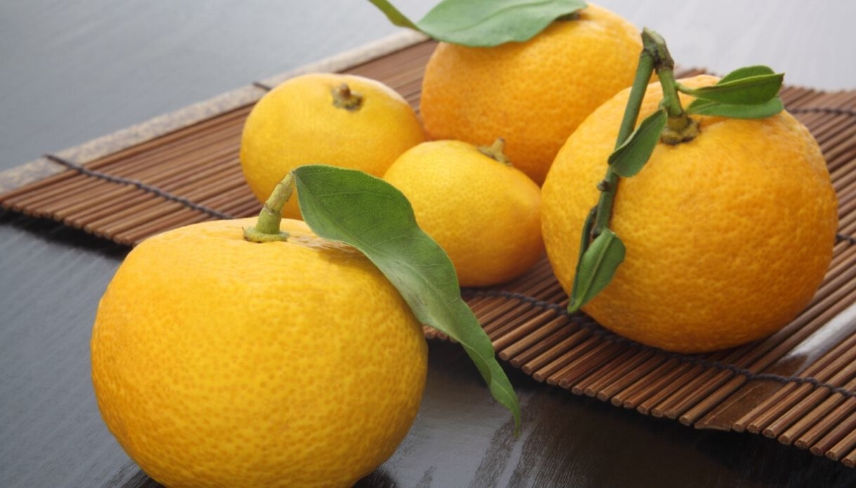 Yuzu, l’agrume che aiuta a proteggere il cuore e il cervello