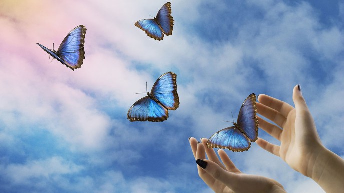 Tutti abbiamo una farfalla blu nella nostra vita