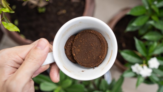 Fanghi anticellulite: un aiuto al caffè e cacao