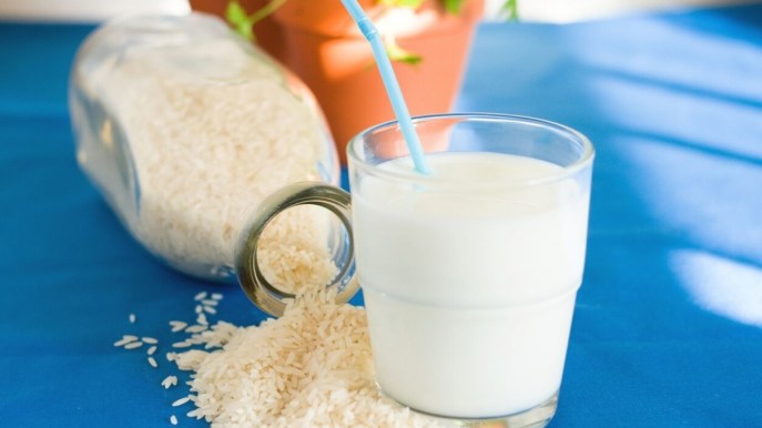 Dieta con latti vegetali: i vantaggi sul peso. Quali scegliere