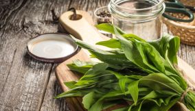 Piantaggine 3