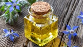 Olio di borragine: i benefici per pelle, unghie e capelli