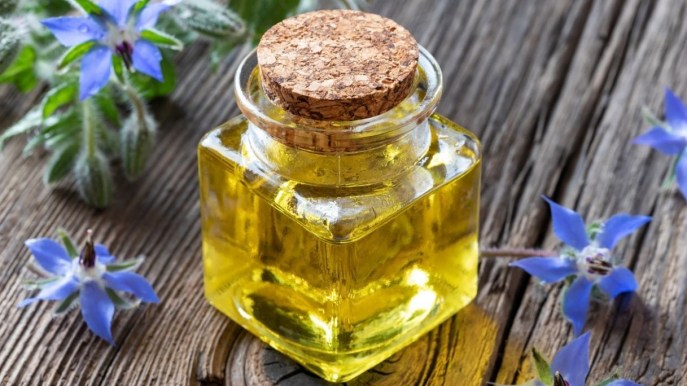 Olio di borragine: i benefici per pelle, unghie e capelli