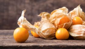 Alchechengi, fai il pieno di vitamine e rafforzi il sistema immunitario