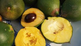 Lucuma: il superfood delle Ande dalle mille virtù