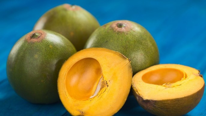 Lucuma, il super frutto per fare il pieno di carotenoidi e controllare la glicemia