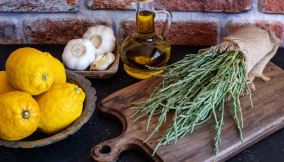 Salicornia