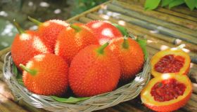 Gac: il frutto dalle mille proprietà benefiche