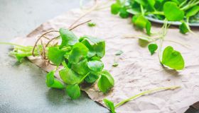 Crescione, prezioso per le ossa e amico della linea