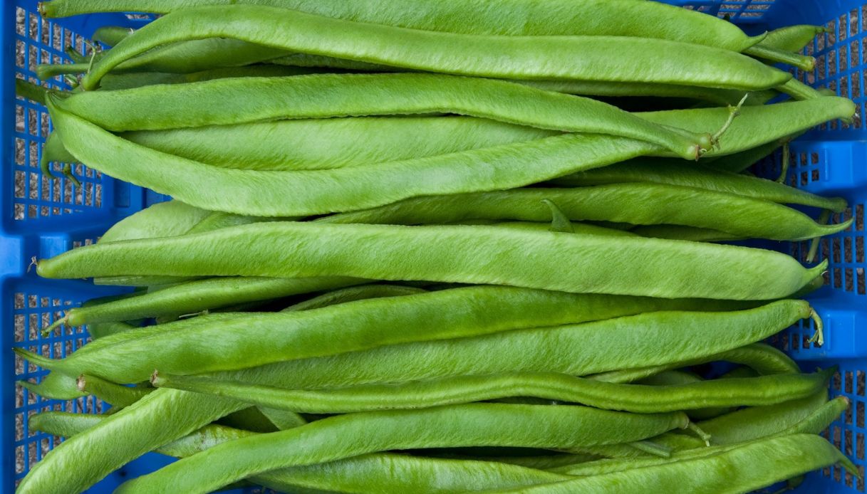 Guar, il legume indiano contro la stitichezza