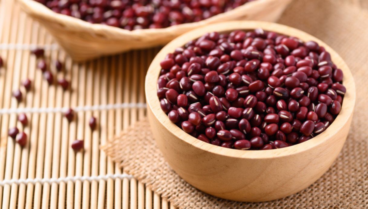 Fagioli azuki: un concentrato di benessere per l’intestino e non solo