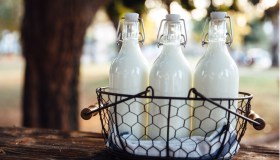 Latte d’asina: benefici, utilizzi e proprietà