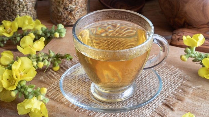 Tè di verbasco, antinfiammatorio e ricco di vitamine
