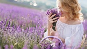 Lavanda: un profumato e antico rimedio per il benessere