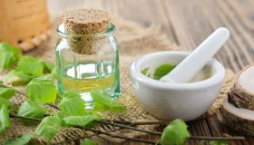 Betulla: proprietà, caratteristiche e benefici