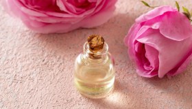 Olio di rosa mosqueta. come usarlo sul viso (e non solo)