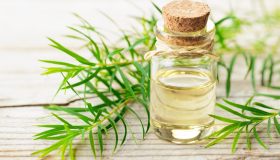 Tea tree oil: come si usa e a cosa serve