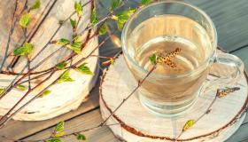 Linfa di betulla: come si usa e a cosa serve