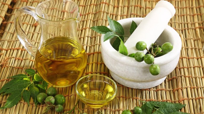 Olio di neem: a cosa serve, come utilizzarlo e controindicazioni