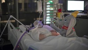 Intubato in terapia intensiva, questo paziente stringe la zampa di Dumbo