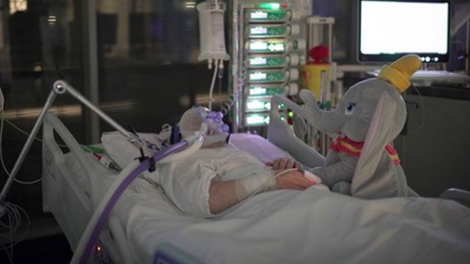 Intubato in terapia intensiva, questo paziente stringe la zampa di Dumbo