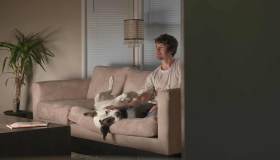 Cosa vedono e sentono i cani quando sono davanti alla TV?