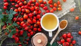 Rosa canina: proprietà, utilizzi e controindicazioni