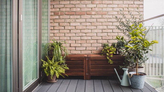 Quali piante scegliere per un balcone d’estate