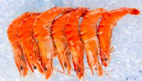 Sicurezza alimentare del pesce: come ridurre i rischi chimici, fisici e microbiologici