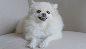 Lo spazio in casa e la dipendenza dal proprietario