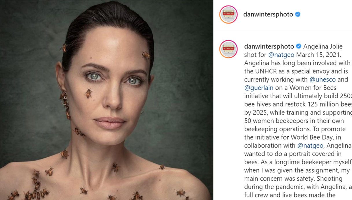 Api Angelia Angelina Jolie ricoperta dalle api, per sostenere la loro salvaguardia
