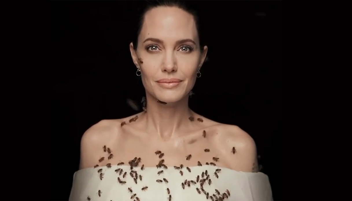 Angelina Jolie ricoperta dalle api, per sostenere la loro salvaguardia