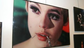Edie Sedgwick bellissima e indimenticabile: la fragile musa di Andy Wharol
