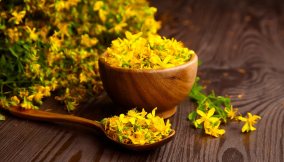 Iperico erba di San Giovanni