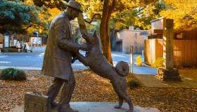 La vera storia del cane Hachiko