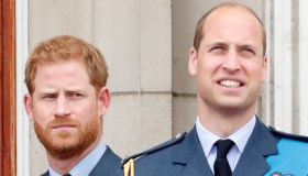 William e Harry annullano la grande cerimonia per la statua di Diana