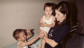 Diossina: il disastro ambientale di Seveso