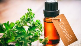 Citronella: proprietà, benefici e come si usa