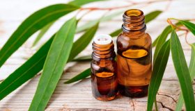 Eucalipto: proprietà e utilizzi come rimedio naturale