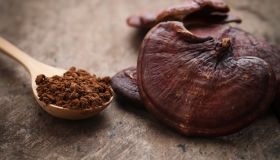 Fungo Reishi: proprietà, a cosa serve e come assumerlo