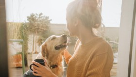 Insieme per sempre: cani e padroni sepolti nella stessa tomba